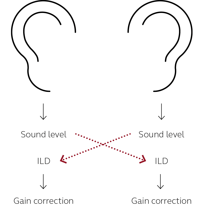 icona orecchie spatial sense